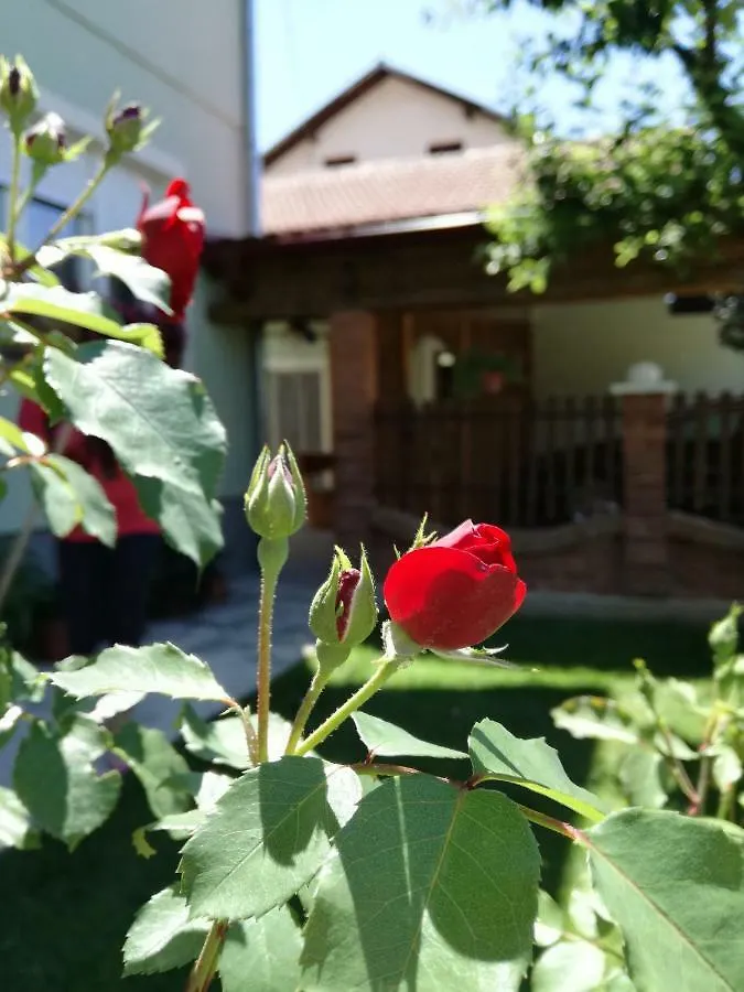 Appartement Apartman Ana Gracac Gračac