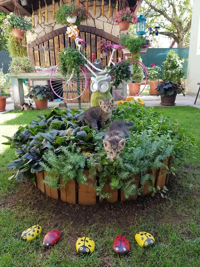 Appartement Apartman Ana Gracac 0*, Gračac